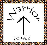 Warrior - Teiwaz